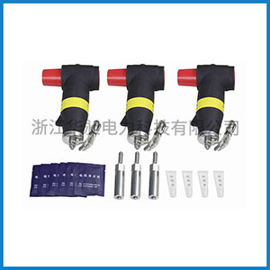 10KV欧式后接避雷器